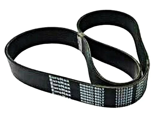 VOLVO - Alternator Belt For Volvo 1241 P/N: 978207